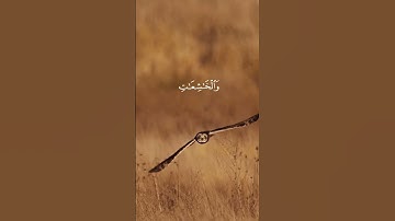 الأحزاب - الآية ٣٥ || إِنَّ الْمُسْلِمِينَ وَالْمُسْلِمَاتِ || #القرآن_الكريم