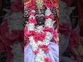 ସାକ୍ଷୀ ଏକା ତୋର ସେ ମଥା ସିନ୍ଦୁର 🌺😊//ଜୟ ମା ମଙ୍ଗଳା ଲୋ 🙏🥰 #youtubeshorts #vairalshort #vairalvideo #odia