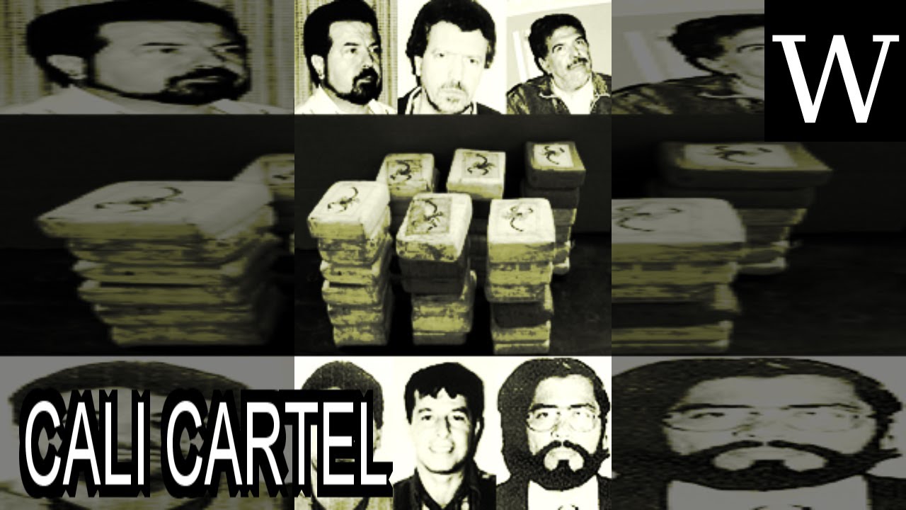 CALI CARTEL WikiVidi Documentary YouTube