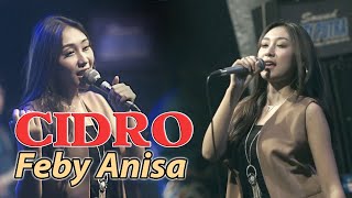 CIDRO - FEBI ANISA - NEW BAGINDA