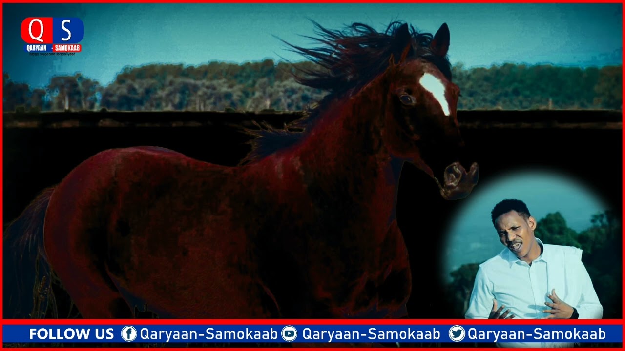 GABAY CUSUB ABWAAN MUXYADIIN SHAAHID TAKHAN.