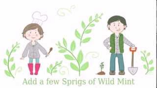 Wild Mint Tea: A Farm Fresh Romance