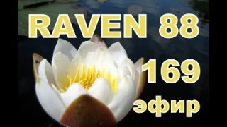RAVEN 88 169 ЭФИР
