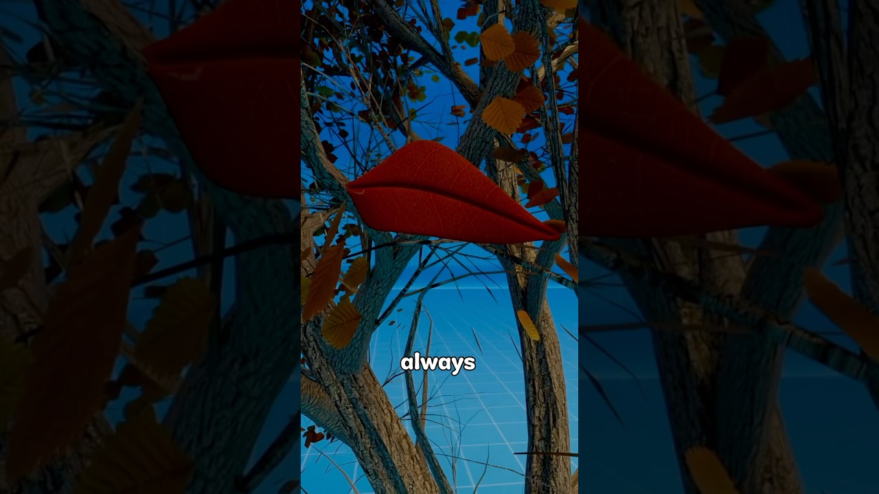 Why do Leaves Change Colour? 🍁😱  