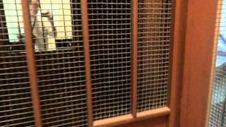Old Schlieren elevator run  with open cabin gate