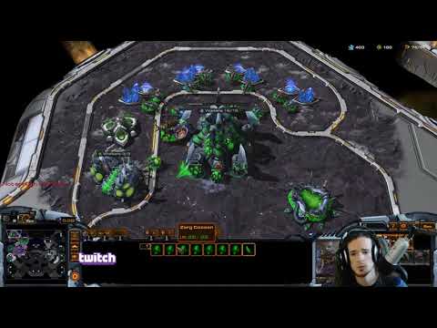 Zerg Basics: Maxing Out FAST