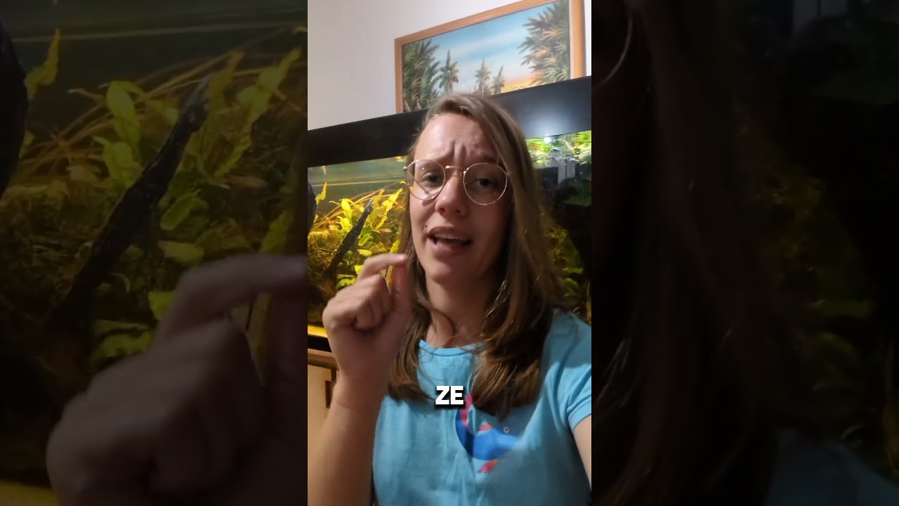 Ze horen echt groot te worden!