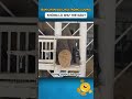 Bàn Chân Voi Chịu Trọng Lượng Khổng Lồ Như Thế Nào?