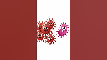 What is Competitive Exclusion? Why should Poultry Farmers KNOW?