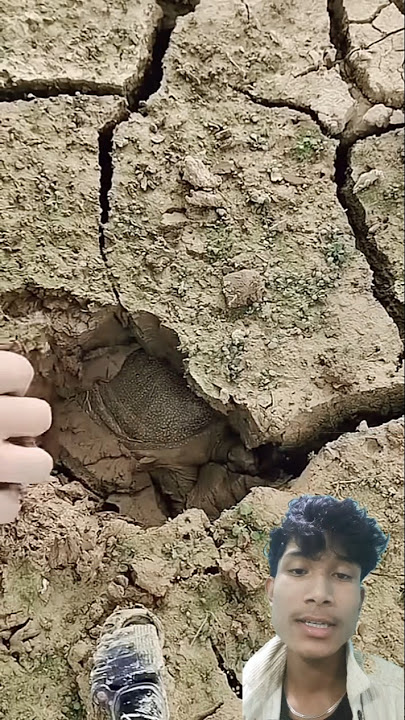 la hernu kaxuya ysto ma painx #nature #aarpaar #mazha #daymaniyat #foryou #trending #amansarki44