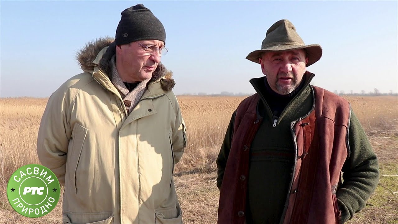 Sasvim prirodno: Adamovo Krdo (Jovan Memedović)