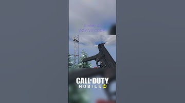 STRIKER .45 WZM VS CODM!  #codm #wzm