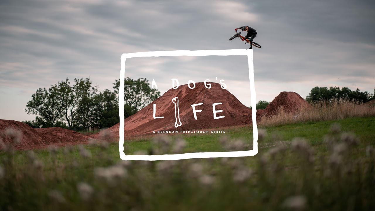 Brendan Fairclough | Episode 4 - A Dog's Life