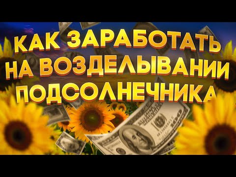 Технология выращивания подсолнечника