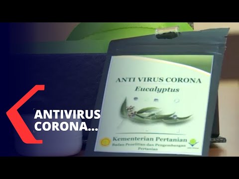 Video: Obat Antivirus Untuk Anak-anak