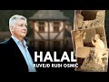 Halal Ruvejd Rudi Osmić Official Video 4K