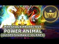 Meet your protective power animal shamanic journey