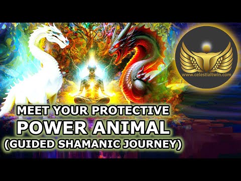 Meet Your Protective