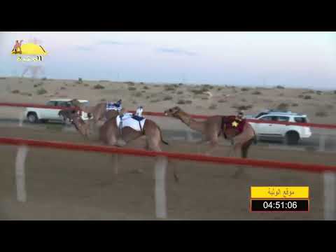 الشوط 1 هملولة ل خليفه جمعة عتيق الرميثي شارة الإتحاد الجمعة 2019 11 22 سمحة ثنايا