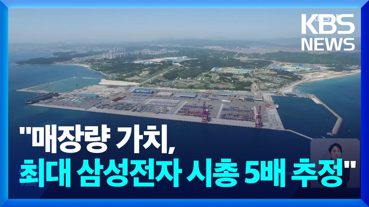 “매장 가치, 삼성전자 시총 5배” / KBS 2024.06.03.