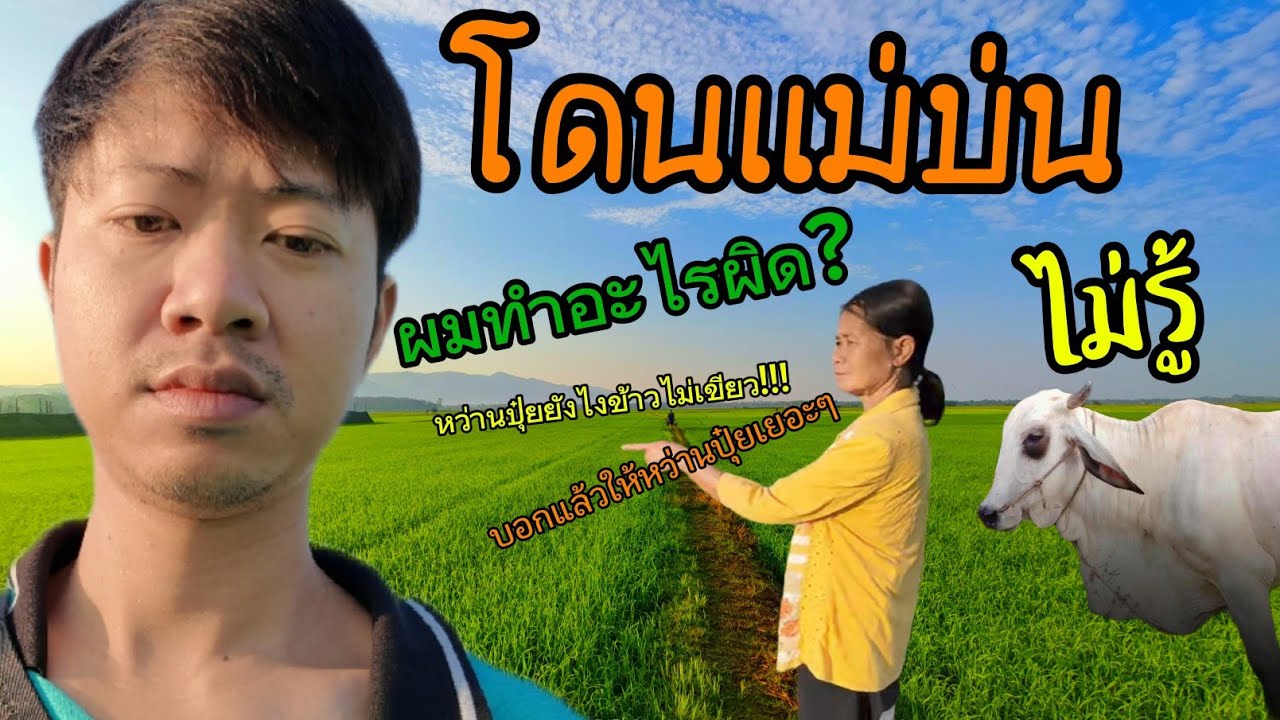 ทุ่งนา 100 ไร่  • โดนแม่บ่น •