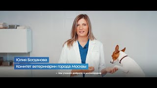 С Днём знаний! Ролик к 1 сентября от Социального комплекса столицы.