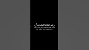 كروما شاشة سوداء قرآن كريم 🌿تلاوة من سورة هود 🌿القارئ مشاري فالح 🌿