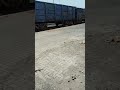 coil rake in yard for unloading #railway #trackwork #railtrack #shorts