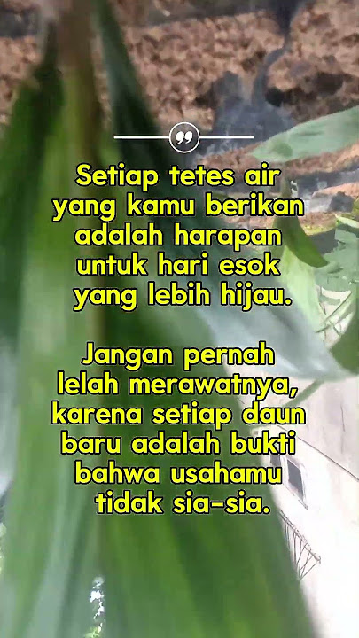 Proses merawatnya mengajarkan kita tentang kesabaran #katahatimotivasi