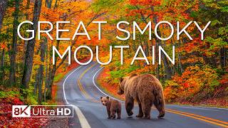 Great Smoky Mountains Autumn 8K 🍂 Vibrant Blue Ridge Fall Colors & Stunning Mountain Views