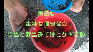 ★大磯海岸で磯遊び＃1★ウニとかに汁とゲメご飯。＊ゲメ＝カサガイ