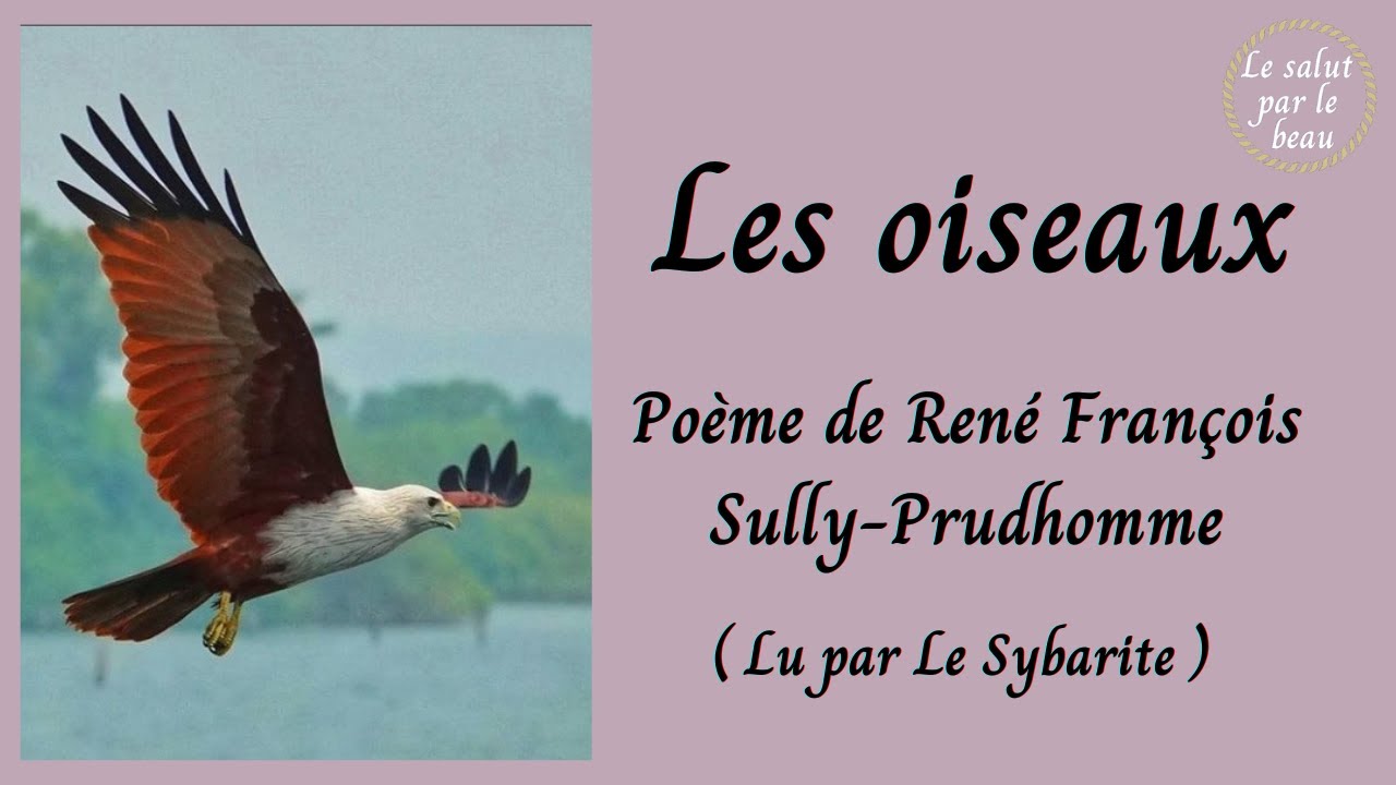 Les oiseaux - Poème de R.F. Sully-Prudhomme - YouTube