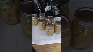 Canning Apples