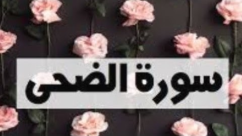 #_سورة#_الضحى 🌿{ للقارئ حمزه بوديب} بصوته الهادئ الذي ياخذك لعالم تاني