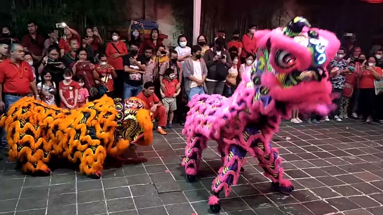 liong barongsai merah putih Bogor