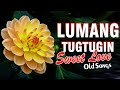 OPM LUMANG TUGTUGIN NA MASARAP BALIKAN | Pure Tagalog Pinoy Old Love Songs Of 70&#39;s 80&#39;s 90&#39;s