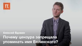 Феномен радикальной критики в России XIX века — Алексей Вдовин