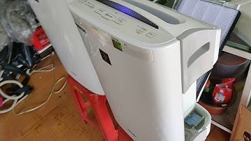 Sharp KC Y80 Y65 Máy lọc không khí bù ẩm và diệt khuẩn nội địa Nhật