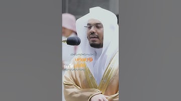سورة { فصلت } من فضيلة الشيخ ياسر الدوسري بتلاوة خاشعة تبكي القلوب