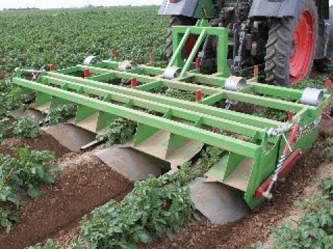 Baselier | GKB | Potato Crop Cultivation | Chemical-Free | Mechanical | Weed Control