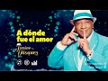 Javier Vásquez - A dónde fue el amor (Lyric Video)