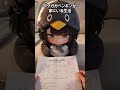 ググガガペンギンが家にいる生活！