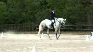 Fox Run Romeo-Level 4- 2011 test  2