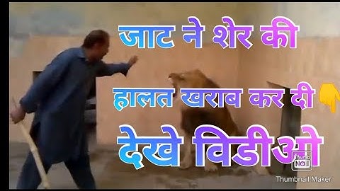 jaat status :Jaat Status: देखिये अकेले जाट ने शेर की बेंड बजा डाली अकेला ही पिंजरे में चला गया