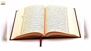 سورة إبراهيم للقارئ الشيخ ياسر سلامة 014