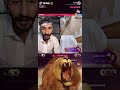 اسد التيك توك هدايا لايف التيك توك Shorts التيك توك تيك توك 