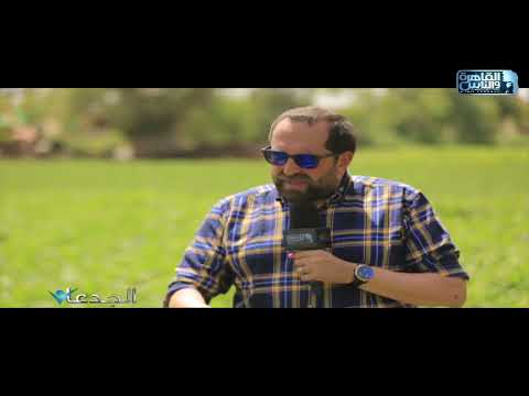 د محمد فتحي سالم نستخدم الدراسة الاكاديمية والتطبيق العلمي في زراعة المحاصيل الزراعية بالسماد الحيوي