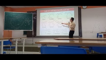 THUỐC TÁC DỤNG LÊN HỆ TIM MẠCH - hóa dược 2 ( phần 2).