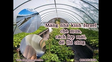 Màng nhà kính Israel che mưa 10 năm, cách lợp màng nhà kính
