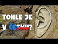 Top 5  dechberoucch mst v esk republice